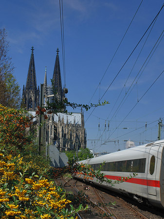 Foto Kölner Dom mit ICE - Köln