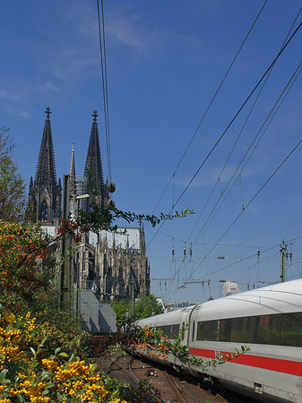 Kölner Dom mit ICE Foto 