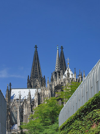 Hauptbahnhof vor dem Kölner Dom