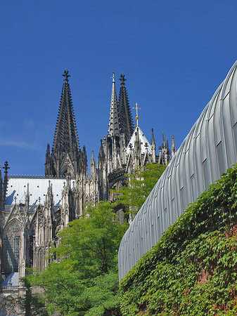 Fotos Hauptbahnhof vor dem Kölner Dom | Köln