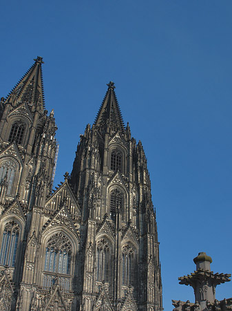 Fotos Kreuzblume vor Kölner Dom