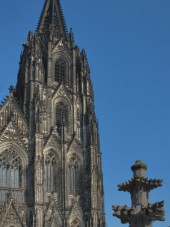 Kreuzblume vor Kölner Dom Fotos