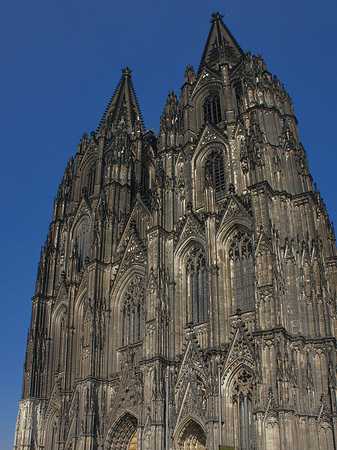 Foto Touristen tummeln sich vor Kölner Dom