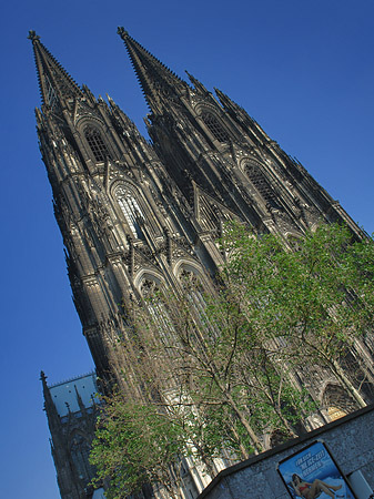 Fotos Nordtor des Kölner Doms