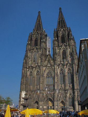 Foto gelbe Sonnenschirme vor Kölner Dom