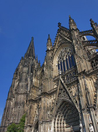 Eingang des Kölner Doms Fotos