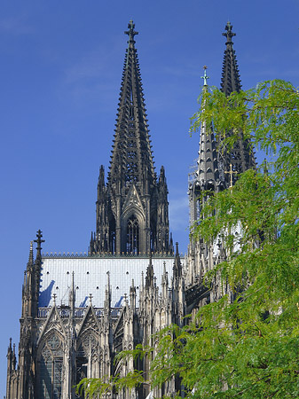 Foto Türme des Kölner Doms - Köln