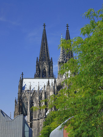 Türme des Kölner Doms Foto 