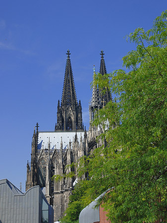 Fotos Türme des Kölner Doms | Köln