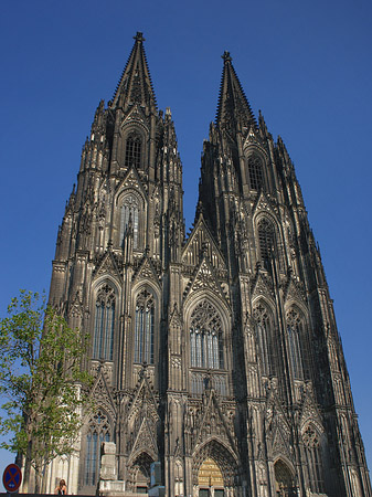 Menschen beim Kölner Dom Foto 