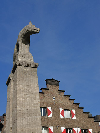 Foto Wolfsstatue und Stadtmuseum - Köln