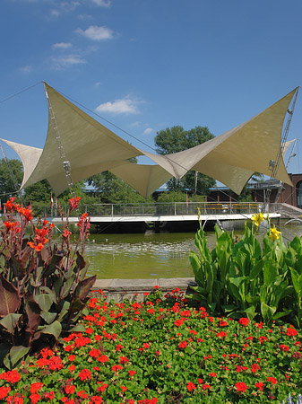 Tanzbrunnen im Rheinpark