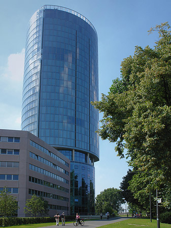 Fotos Triangelturm hinter Baum