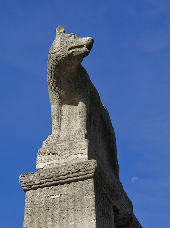 Foto Wolfsstatue am Stadtmuseum