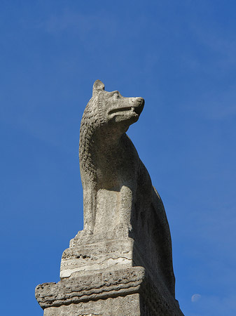 Foto Wolfsstatue am Stadtmuseum - Köln