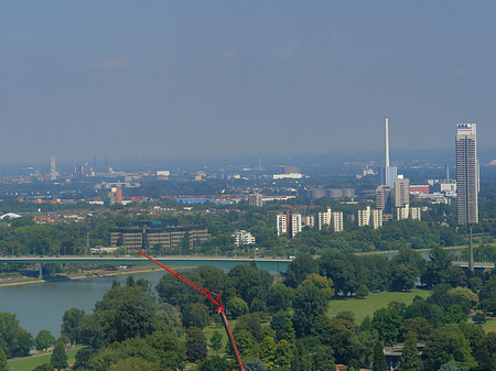 Blick über Rhein Foto 