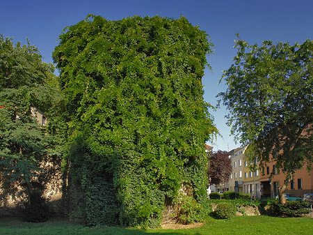 Helenenturm Foto 