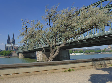 Hohenzollernbrücke am Kölner Dom