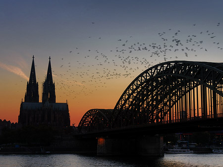 Kölner Dom hinter der Hohenzollernbrücke Fotos