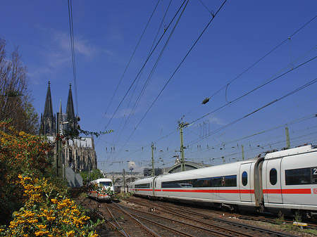 Foto Kölner Dom mit ICE