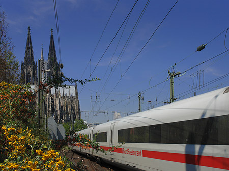 Foto Kölner Dom mit ICE - Köln