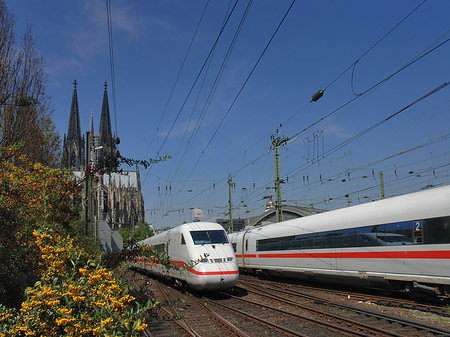 Kölner Dom mit ICE