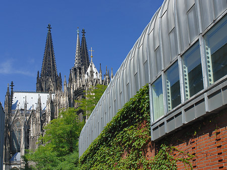 Fotos Hauptbahnhof vor dem Kölner Dom