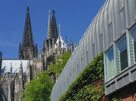 Foto Hauptbahnhof vor dem Kölner Dom - Köln