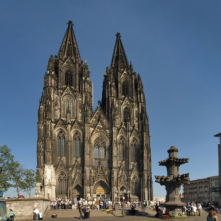 Kreuzblume vor Kölner Dom