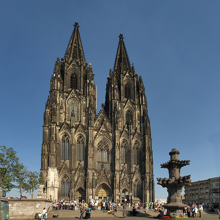 Fotos Kreuzblume vor Kölner Dom