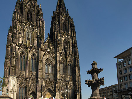 Fotos Kreuzblume vor Kölner Dom