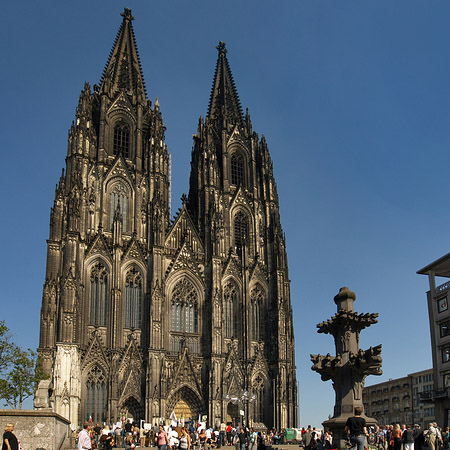 Kreuzblume vor Kölner Dom Foto 