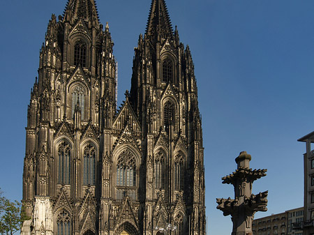 Fotos Kreuzblume vor Kölner Dom | Köln