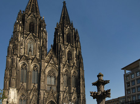 Foto Kreuzblume vor Kölner Dom - Köln