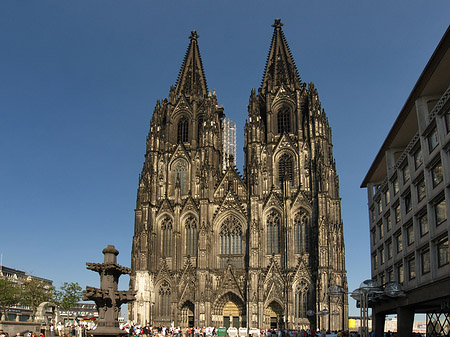 Kreuzblume vor Kölner Dom Foto 