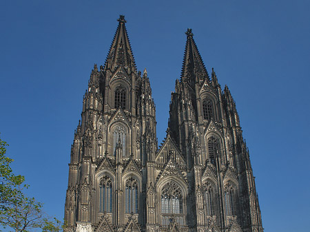 Kreuzblume vor Kölner Dom Foto 