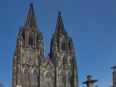 Kreuzblume vor Kölner Dom