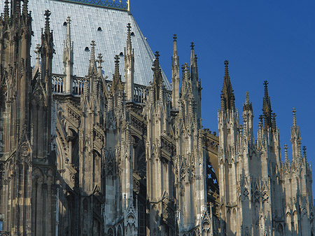 Foto Südseite des Kölner Doms