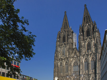 gelbe Sonnenschirme vor Kölner Dom Foto 