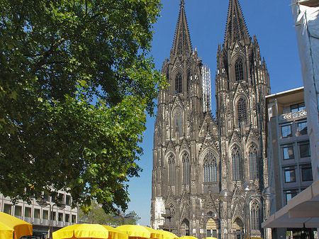 Foto gelbe Sonnenschirme vor Kölner Dom