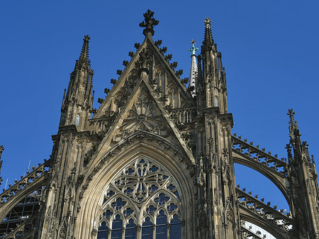 Fotos Südportal des Kölner Doms