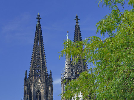 Foto Türme des Kölner Doms