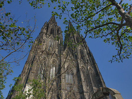 Westfassade des Kölner Doms Foto 