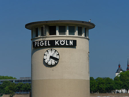 Pegel Köln Fotos