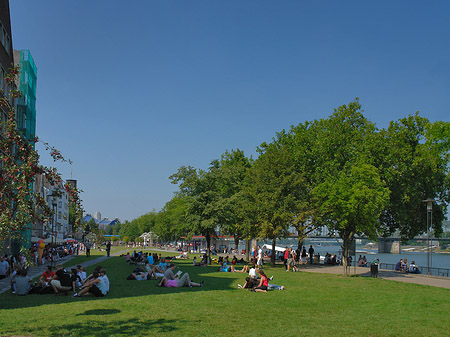 Foto Rheingarten - Köln