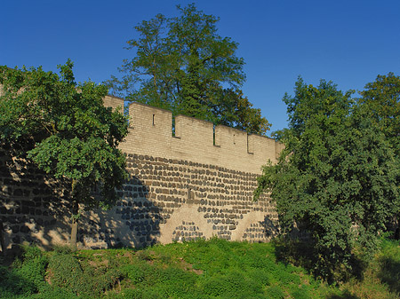 Foto Stadtmauer am Sachsenring - Köln