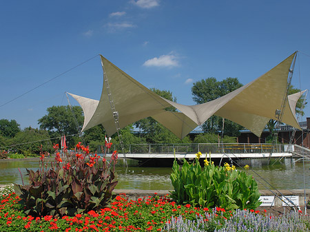 Foto Tanzbrunnen ist rundum bepflanzt - Köln