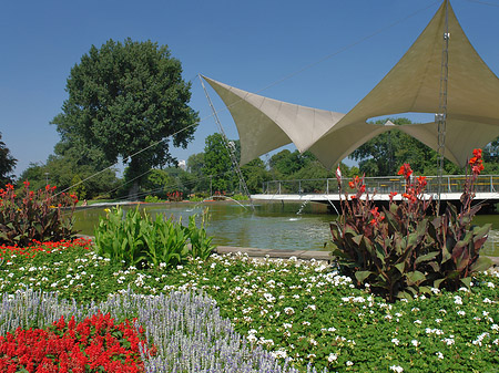 Fotos Tanzbrunnen im Rheinpark | Köln