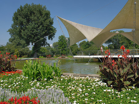 Fotos Tanzbrunnen im Rheinpark | Köln