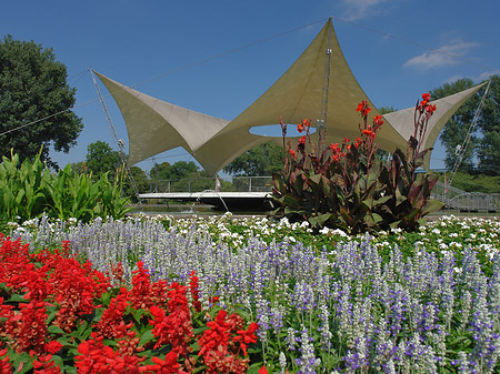 Foto Tanzbrunnen im Rheinpark